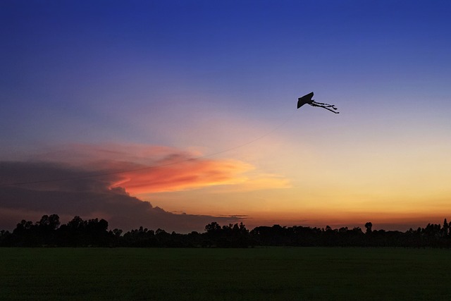 På sporet af jesus’ opstigning: Myter og mysterier om kristi himmelfart