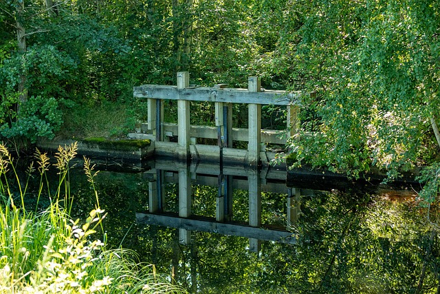 Klimavenlige konstruktioner: Dansk træ i verdensklasse